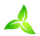 The Green Fan